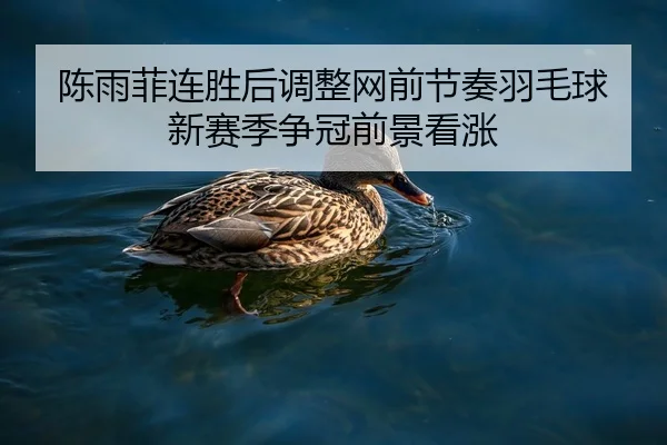 陈雨菲连胜后调整网前节奏羽毛球新赛季争冠前景看涨
