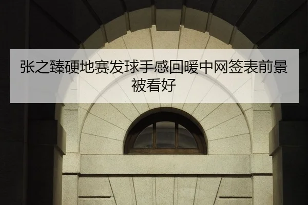 张之臻硬地赛发球手感回暖中网签表前景被看好